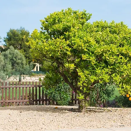 Villa Bonalba Golf Mutxamel